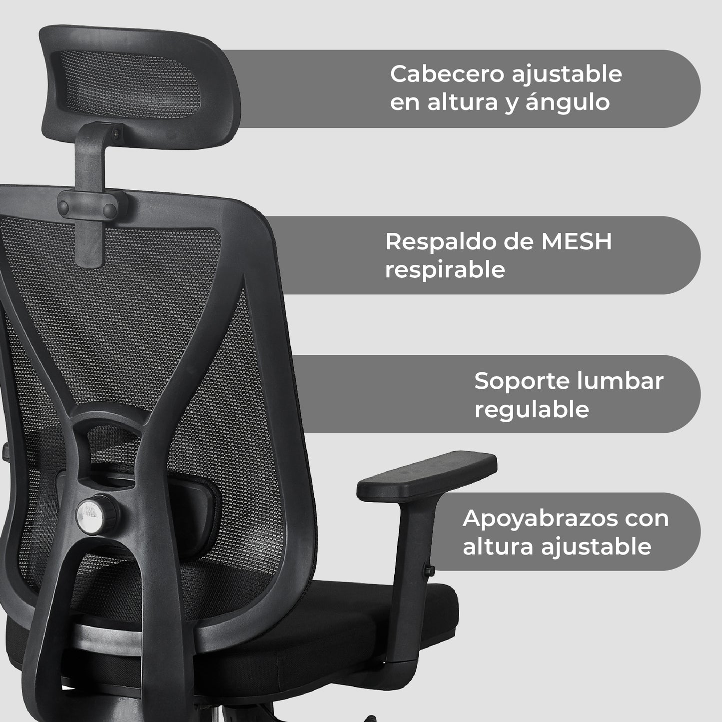 Silla de Escritorio Parma