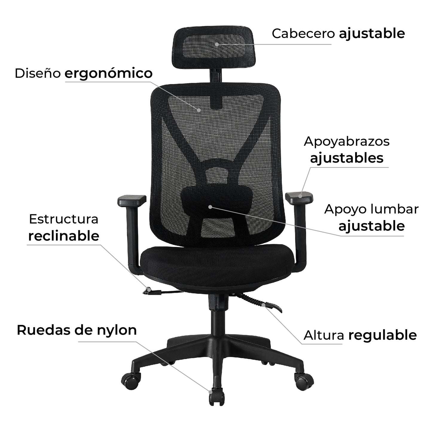 Silla de Escritorio Parma