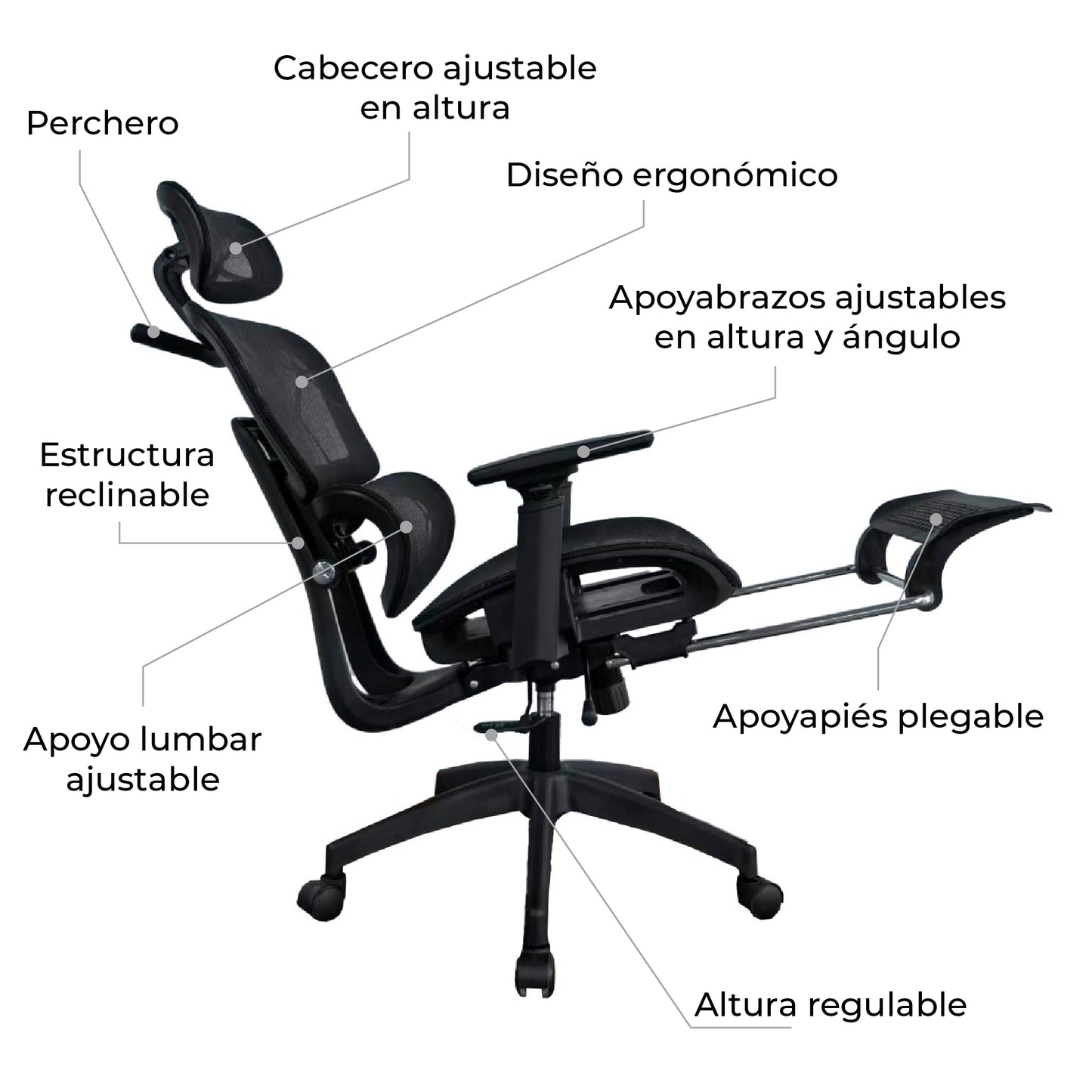 Silla de escritorio con Reposapies Ergonomus ErgoPro