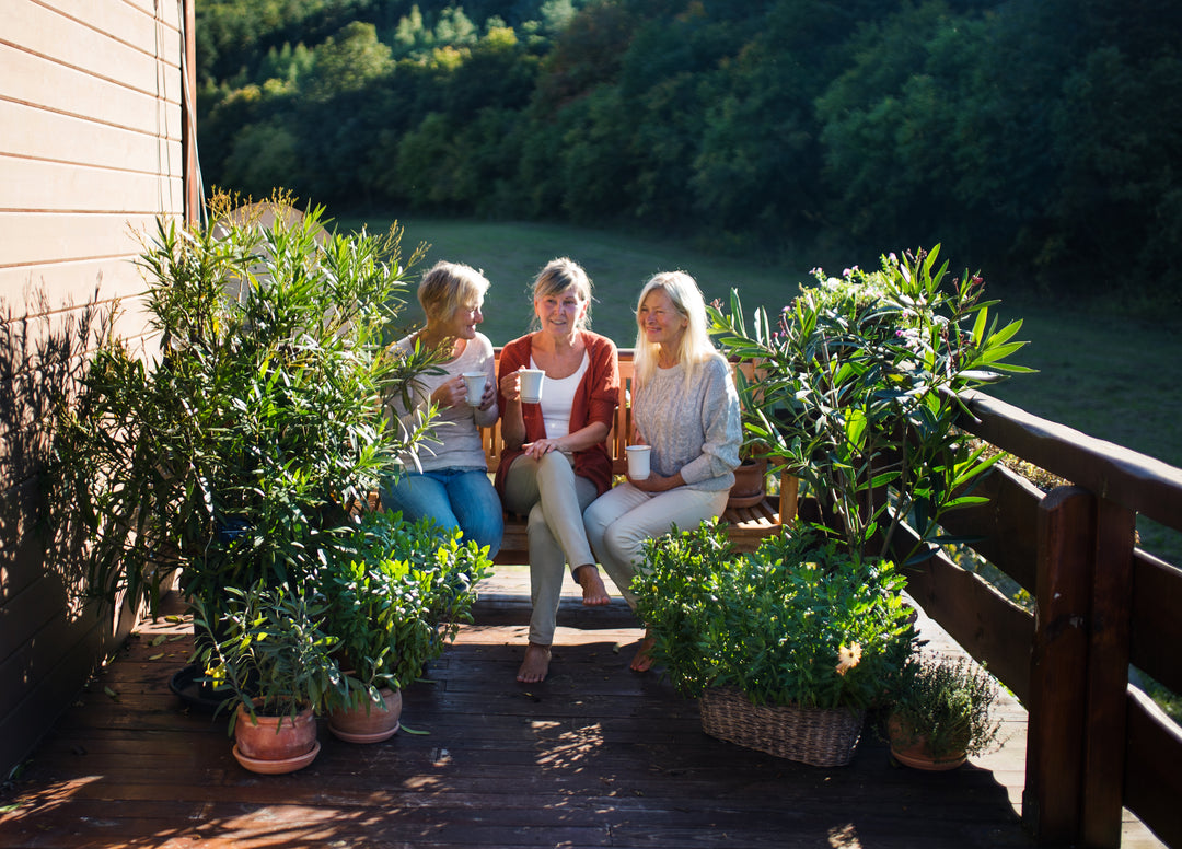 10 mejores plantas de terraza