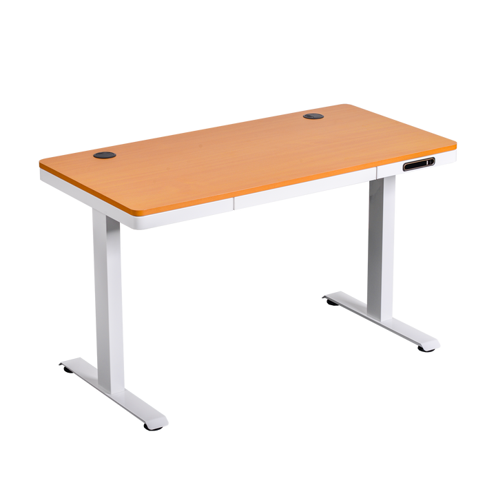 Escritorio Eléctrico Standing Desk Oak Pro