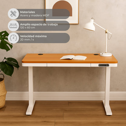 Escritorio Eléctrico Standing Desk Oak Pro