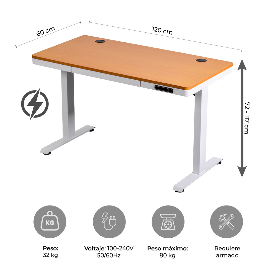 Escritorio Eléctrico Standing Desk Oak Pro