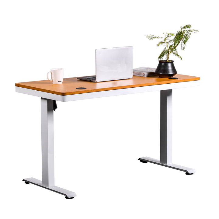 Escritorio Eléctrico Standing Desk Oak Pro