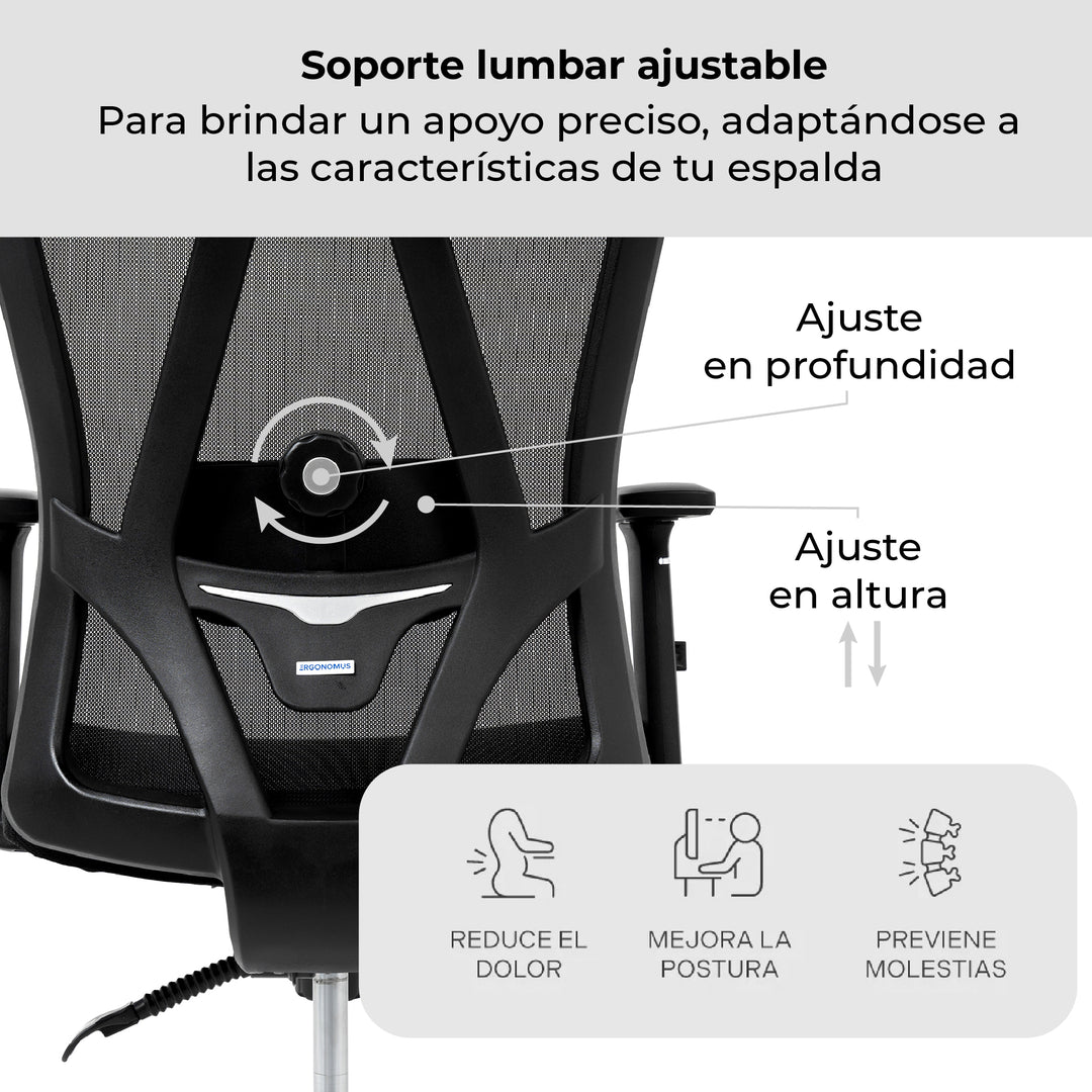 Silla de Escritorio Ergonómica Nairobi
