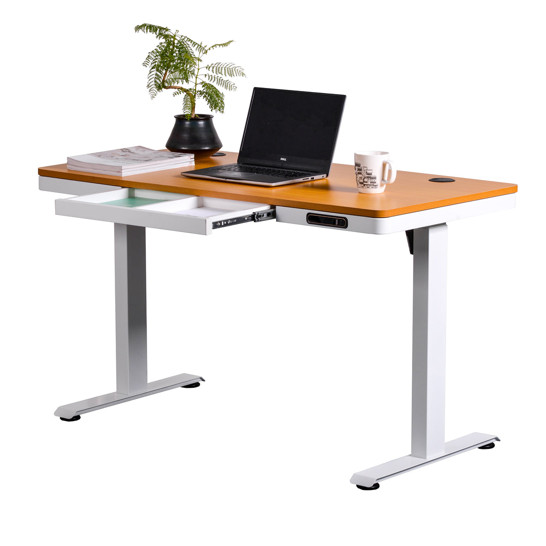 Escritorio Eléctrico Standing Desk Oak Pro