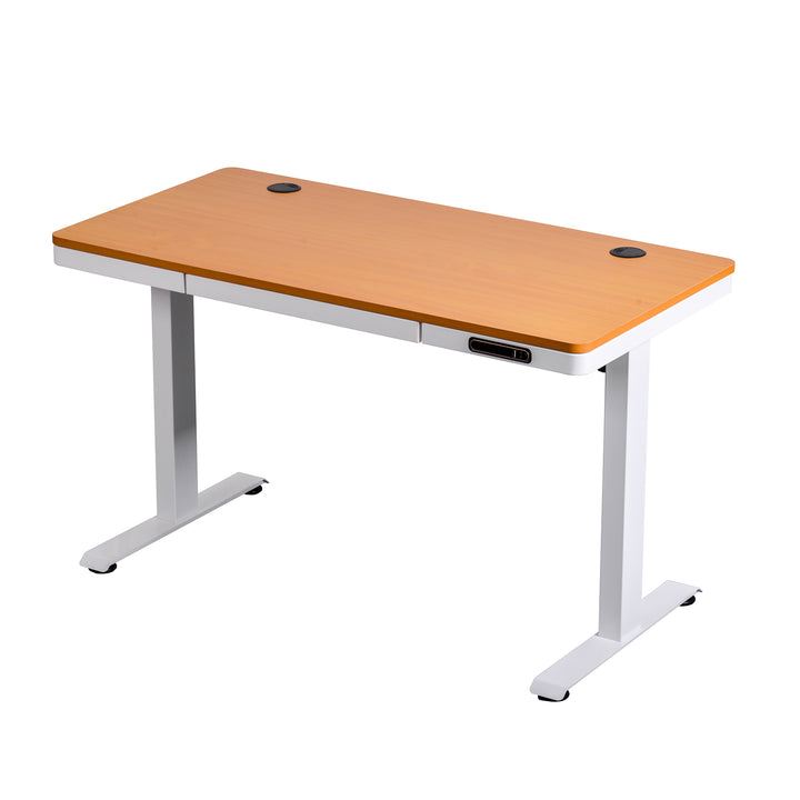 Escritorio Eléctrico Standing Desk Oak Pro