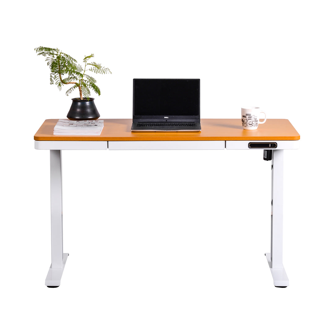 Escritorio Eléctrico Standing Desk Oak Pro