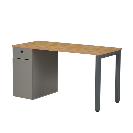 Escritorio con Cajón y Puerta Ergo-016