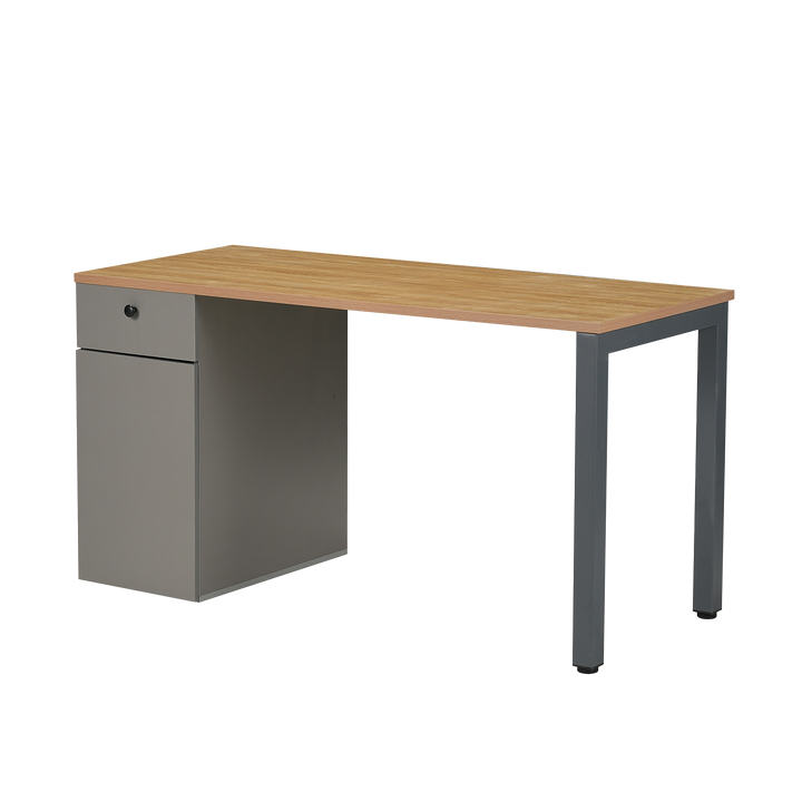 Escritorio con Cajón y Puerta Ergo-016
