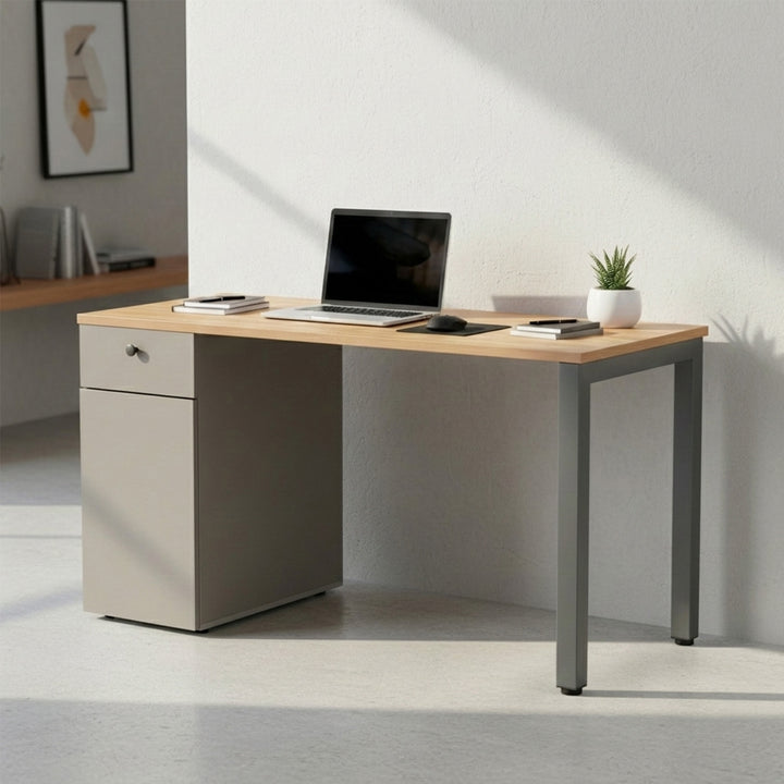 Escritorio con Cajón y Puerta Ergo-016